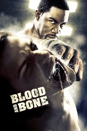 Blood and Bone (2009) Hindi Dual Audio 300MB