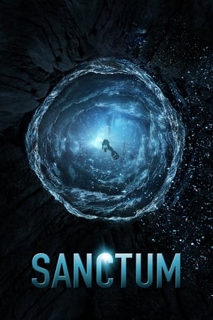 Sanctum (2011) Hindi Dual Audio 400MB